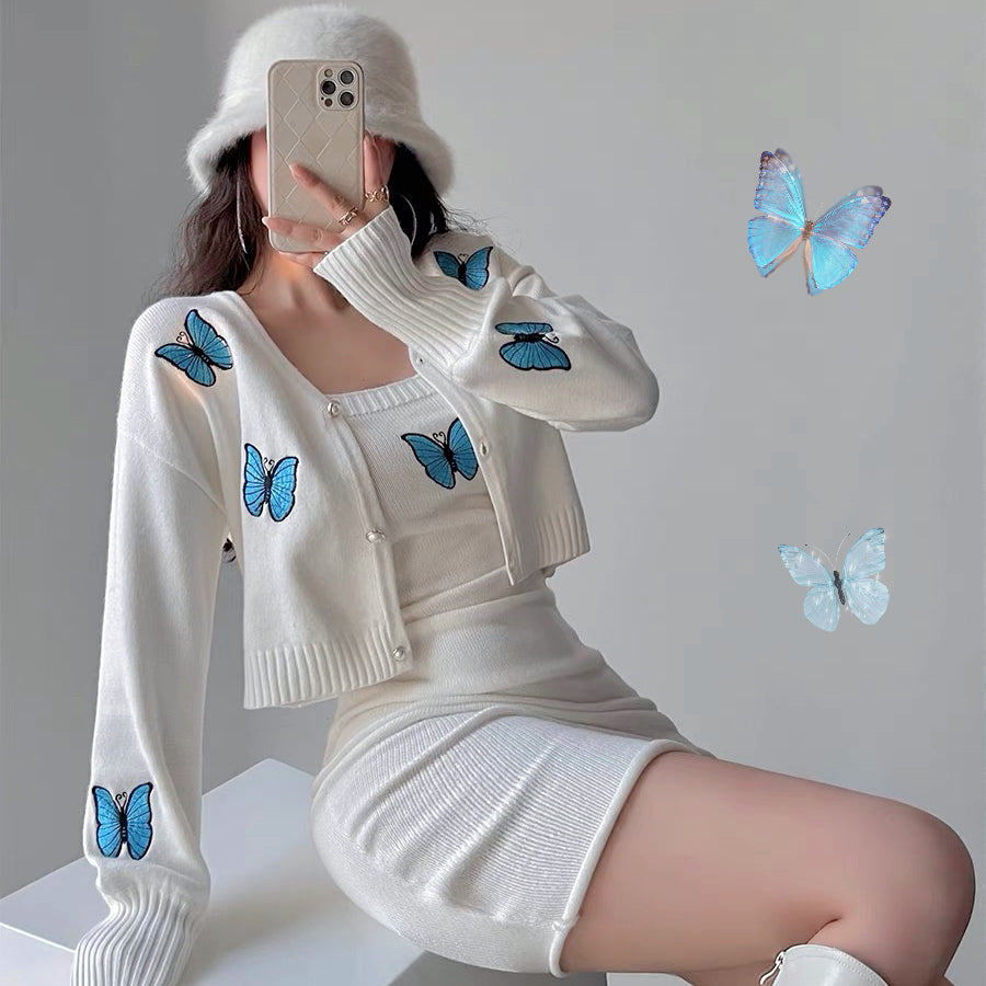 Butterfly Embroidered Cardigan Bag Dress Two-Piece Set    HA1401