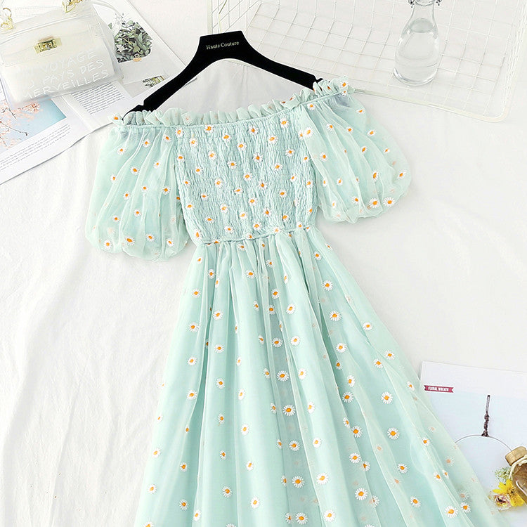 Daisy Embroidered Mesh Dress HA0791