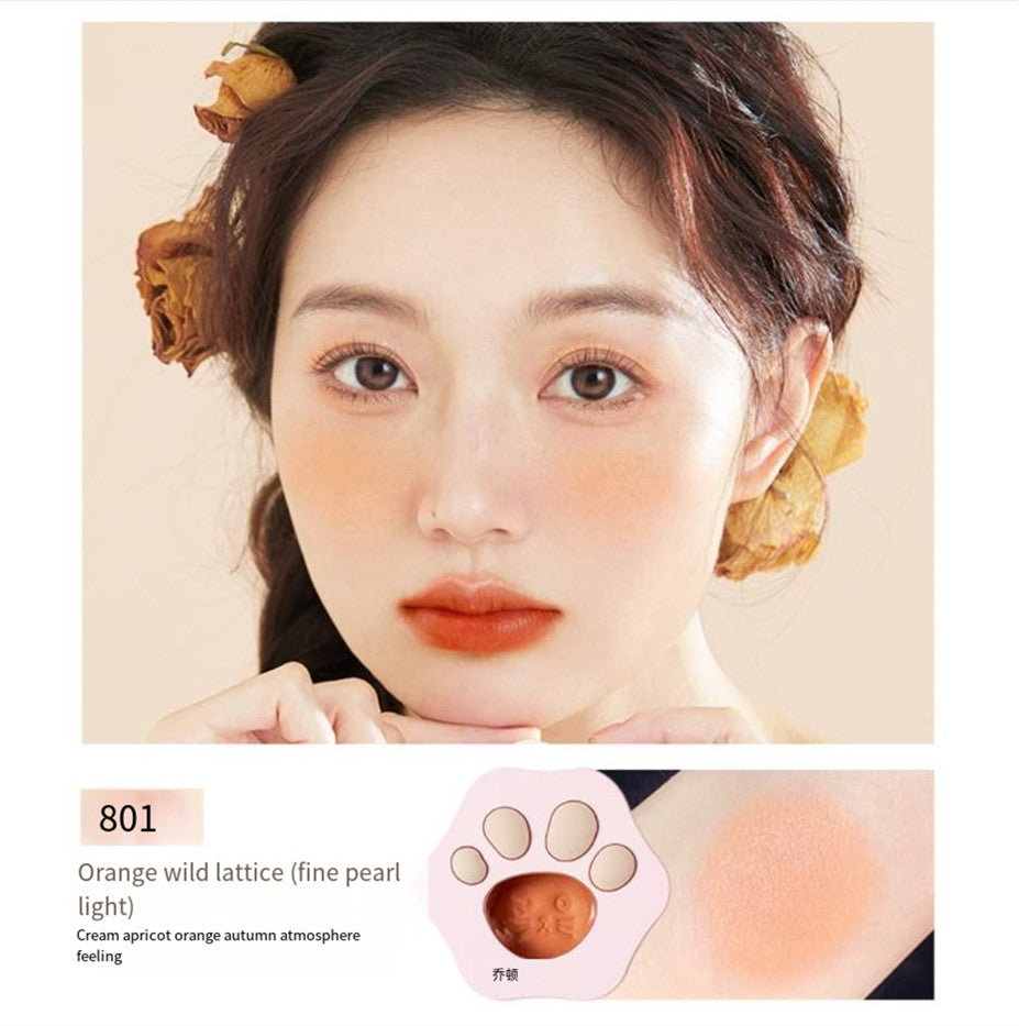 Blush highlighter and contouring all-in-one palette HA00113