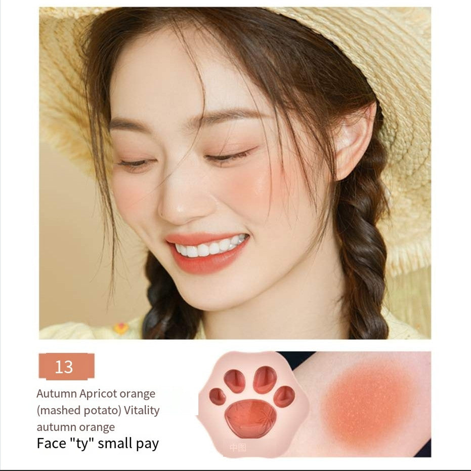 Blush highlighter and contouring all-in-one palette HA00113