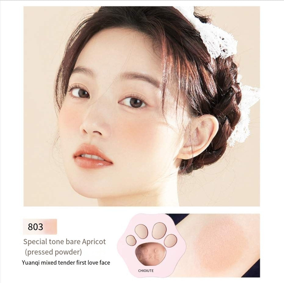 Blush highlighter and contouring all-in-one palette HA00113