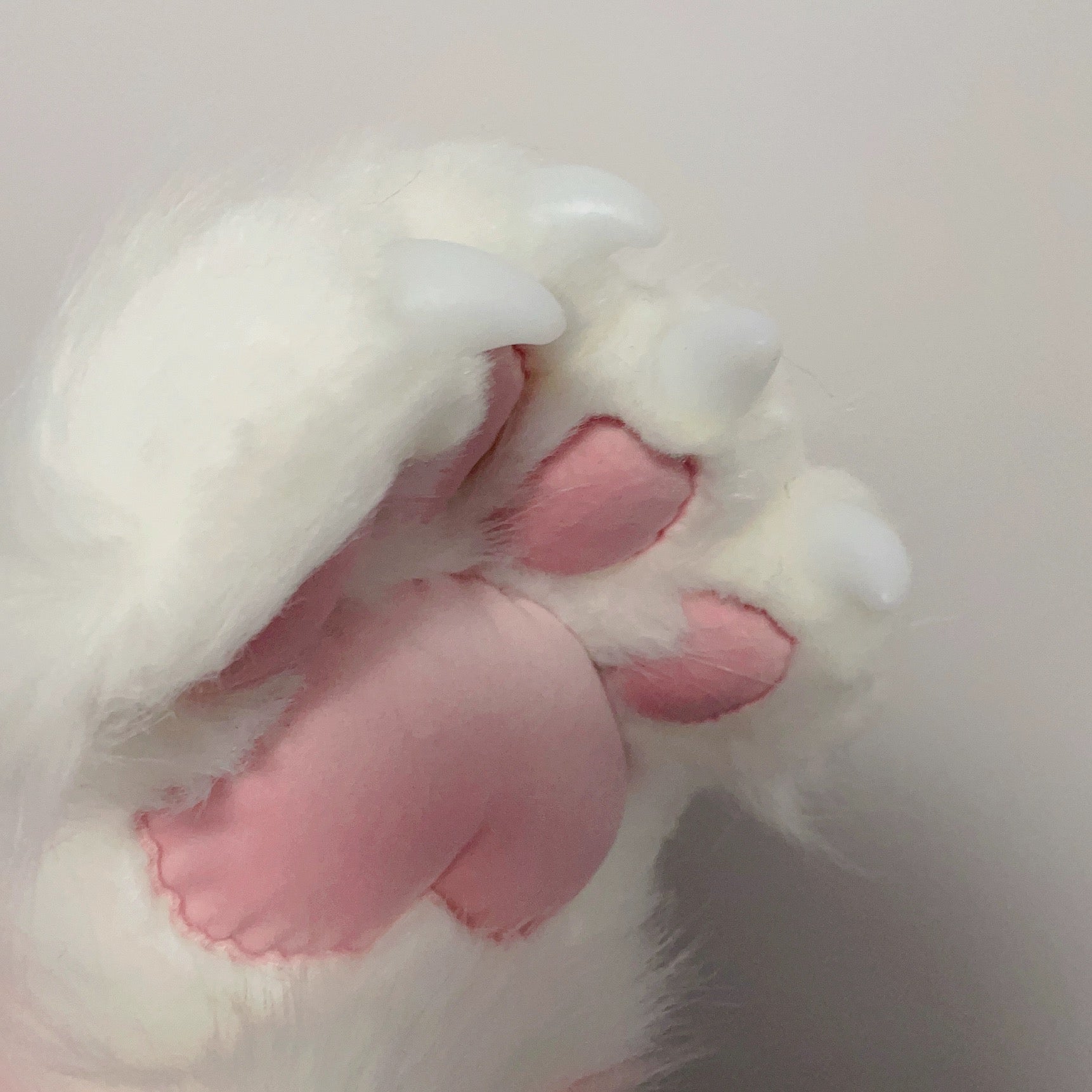 Cute plush paw HA2336