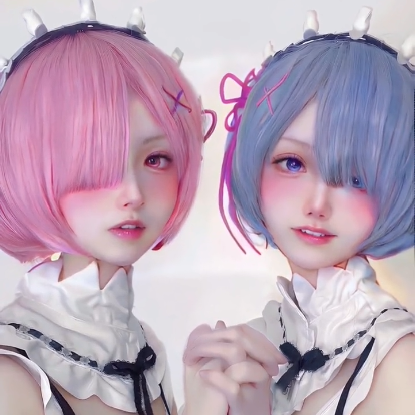 Ram Rem cosplay wig  HA0717