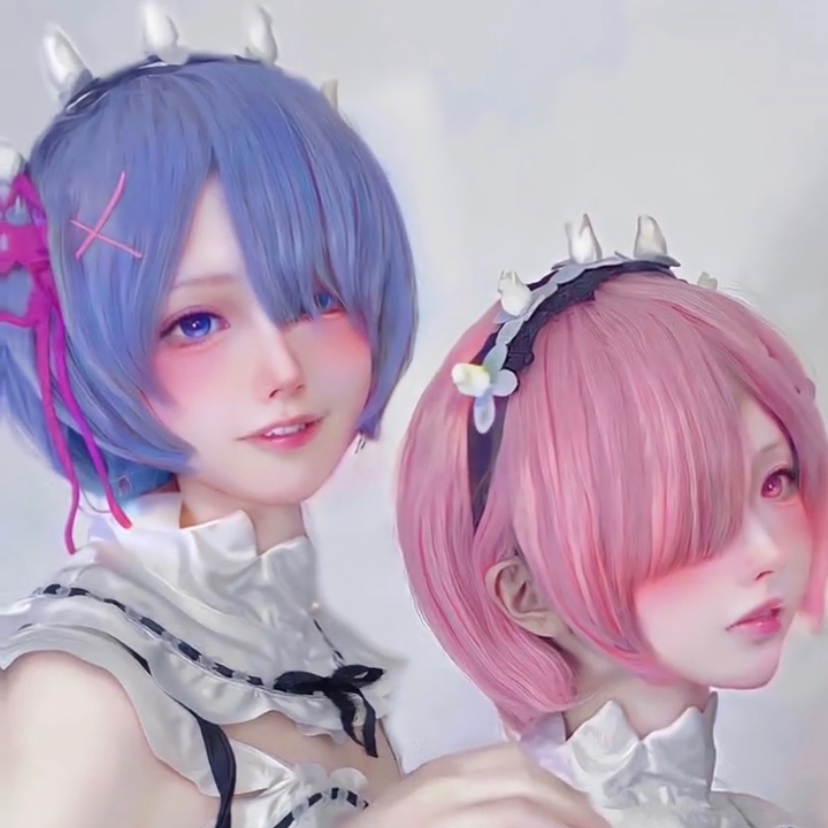 Ram Rem cosplay wig  HA0717