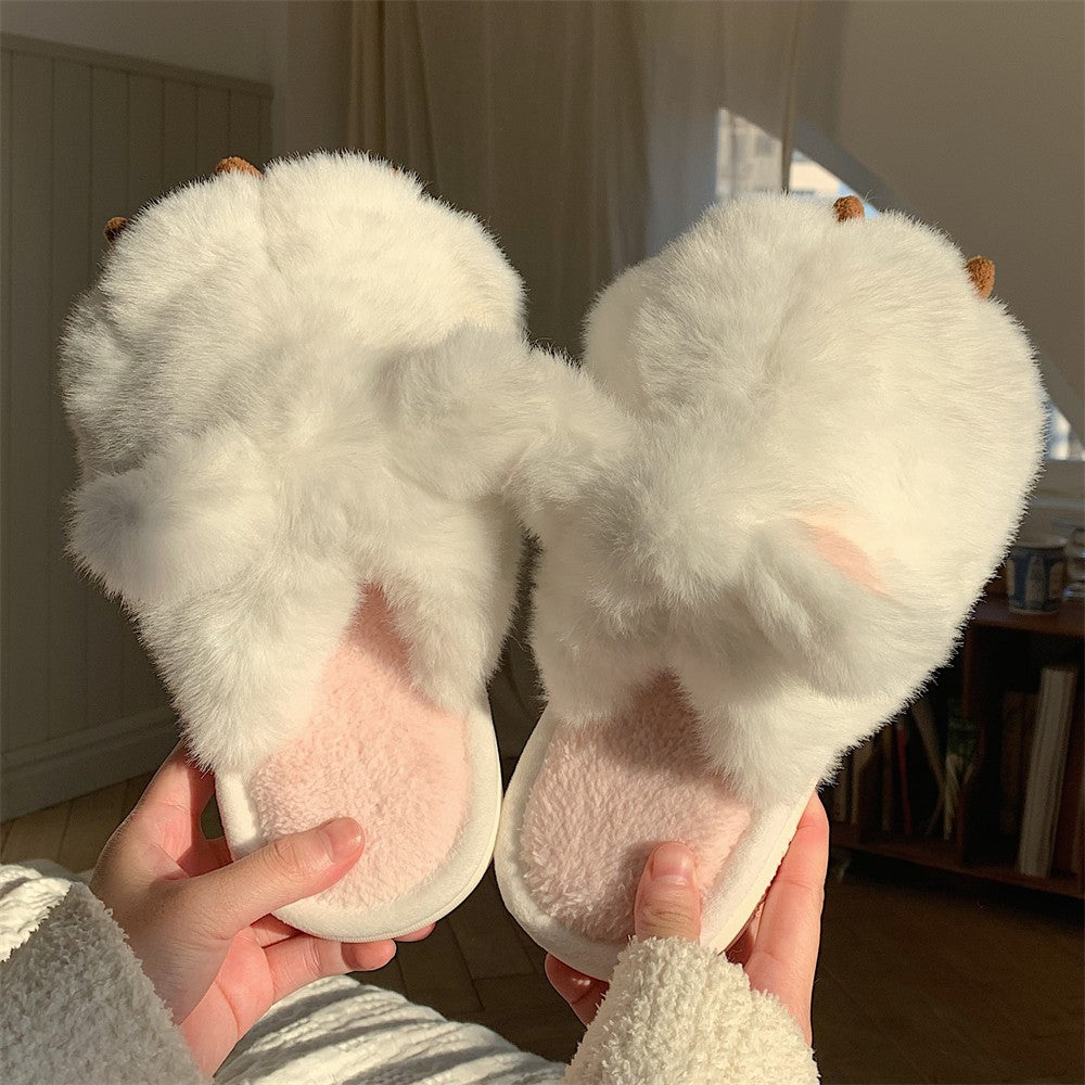 Cute warm cat paws   HA1341