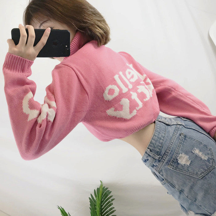 Pink cute sweater  HA0742