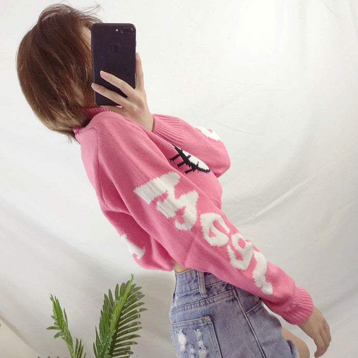 Pink cute sweater  HA0742