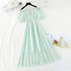 Daisy Embroidered Mesh Dress  HA0791