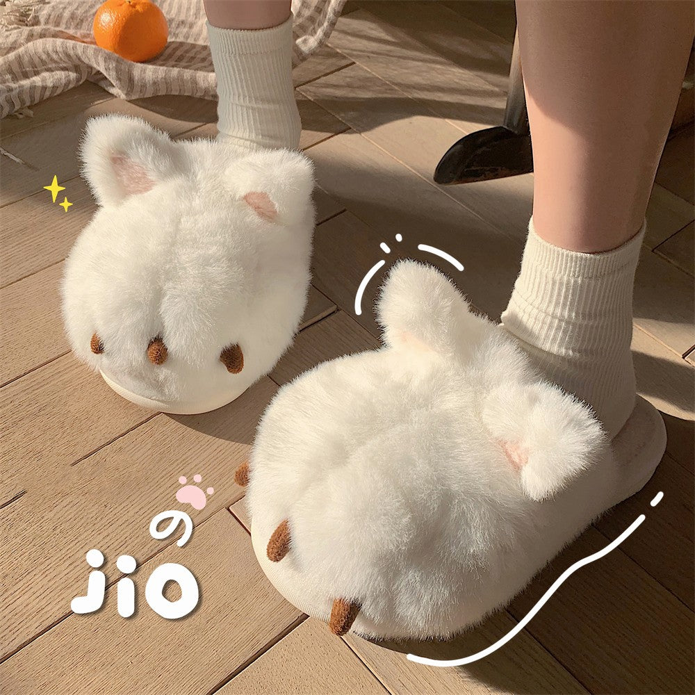 Cute warm cat paws   HA1341