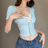 Sweet and Spicy Lace Panel Crop T-Shirt  HA1080